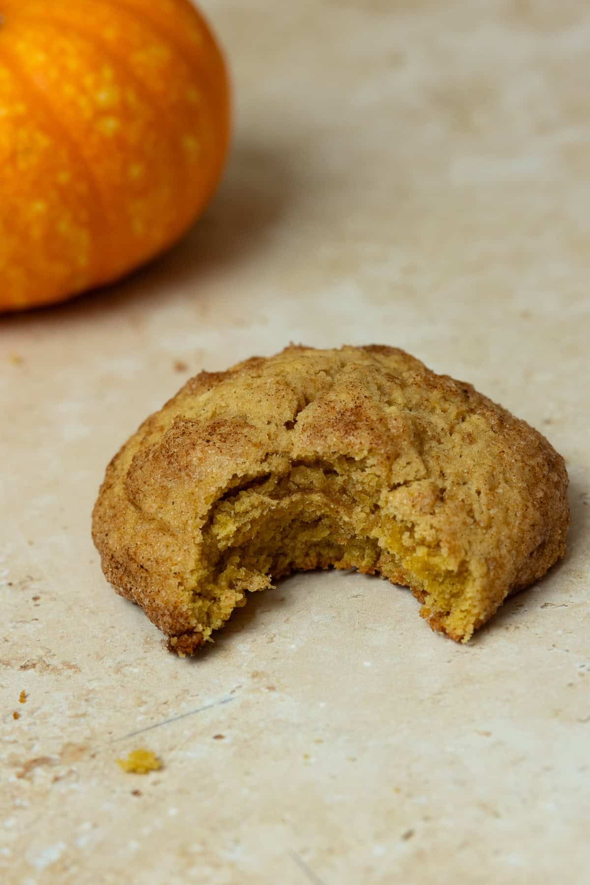 A sourdough pumpkin cookie with a bite out of it on a countertop.