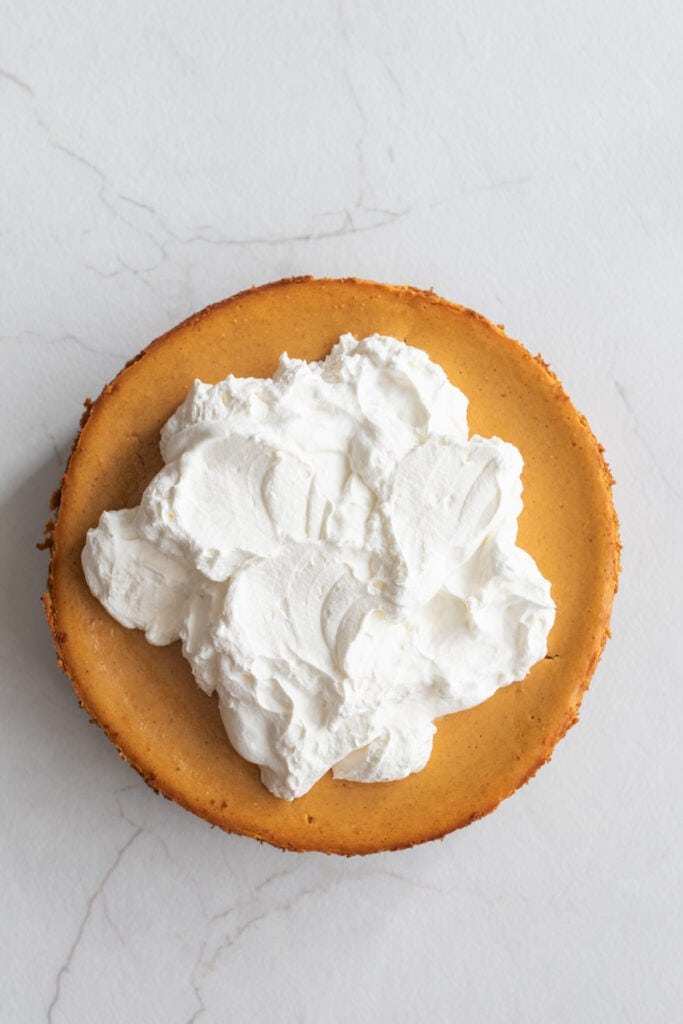 A pumpkin cheesecake topped with fluffy white whipped cream.