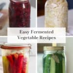 Four jars of fermented foods.