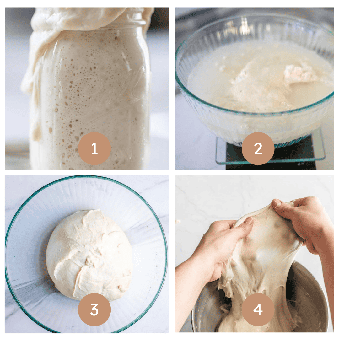 Four images on steps 1-4 how to make sourdough baguettes.