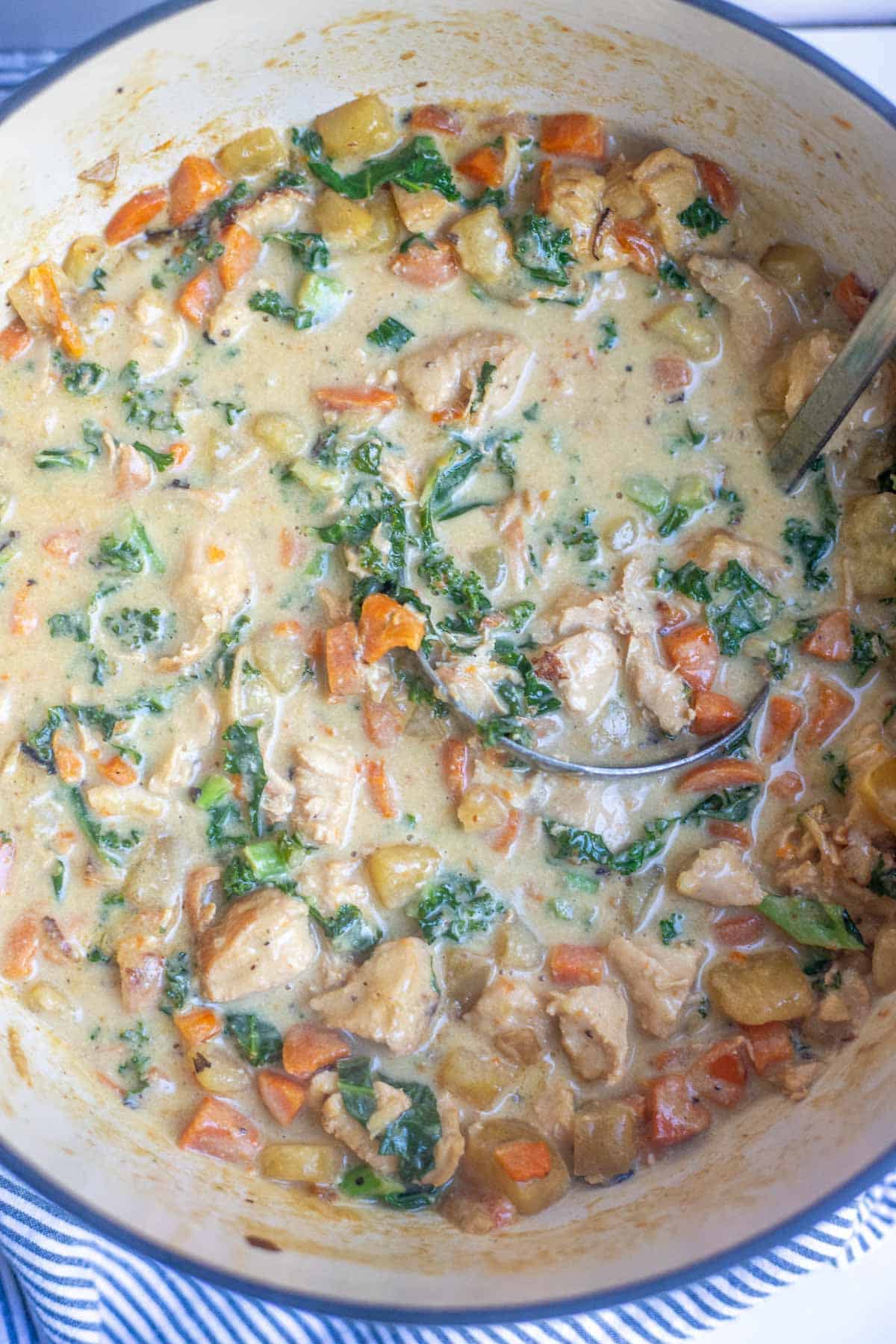 A Dutch oven full of soup.