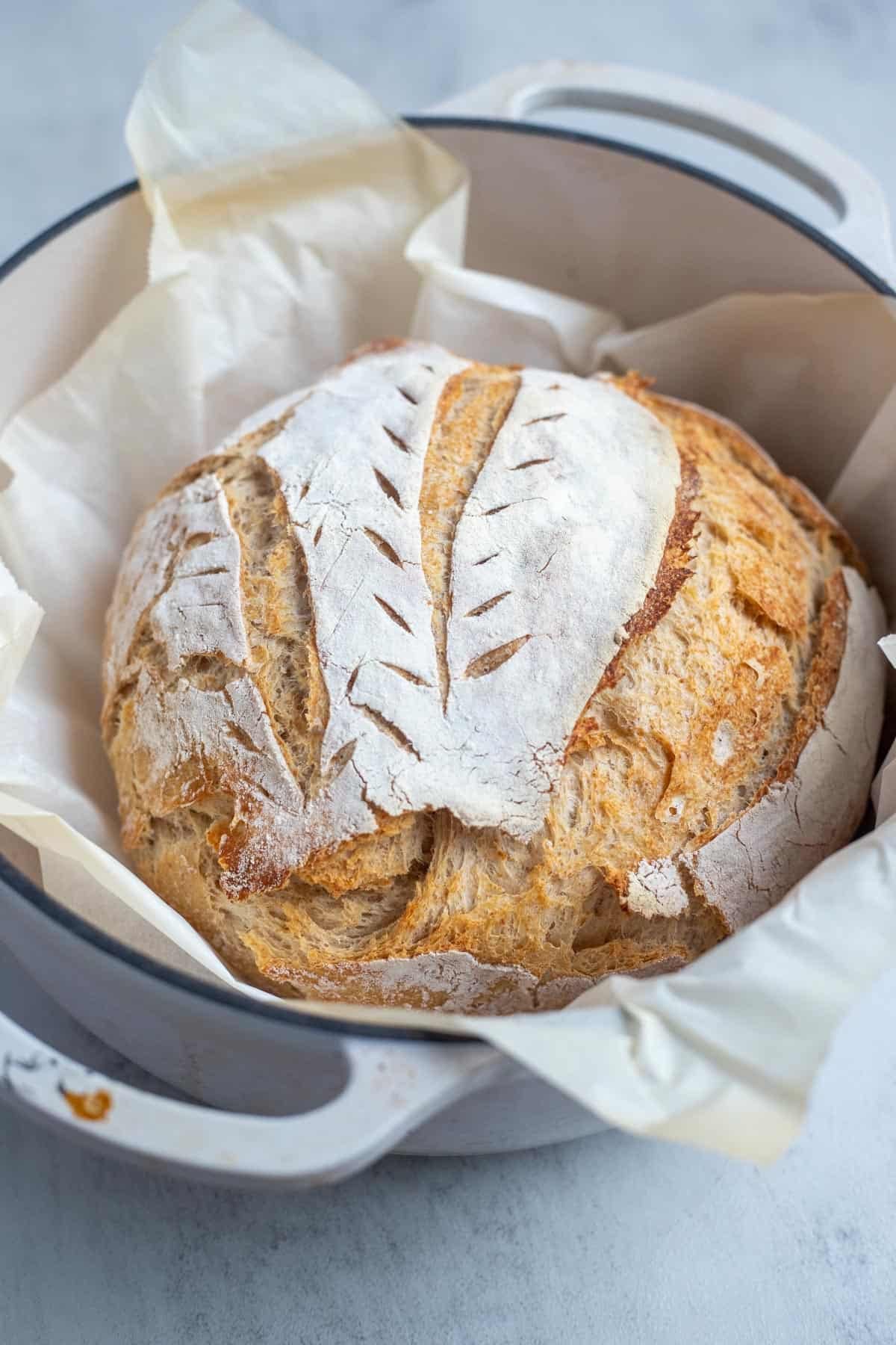 An einkorn sourdough boule in a dutch oven fresh out of the oven.