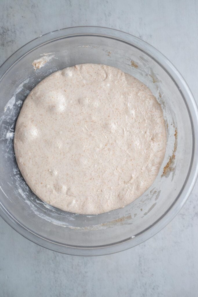 Sourdough bread dough in a glass bowl that is bubbly and has doubled in size after the first ferment.