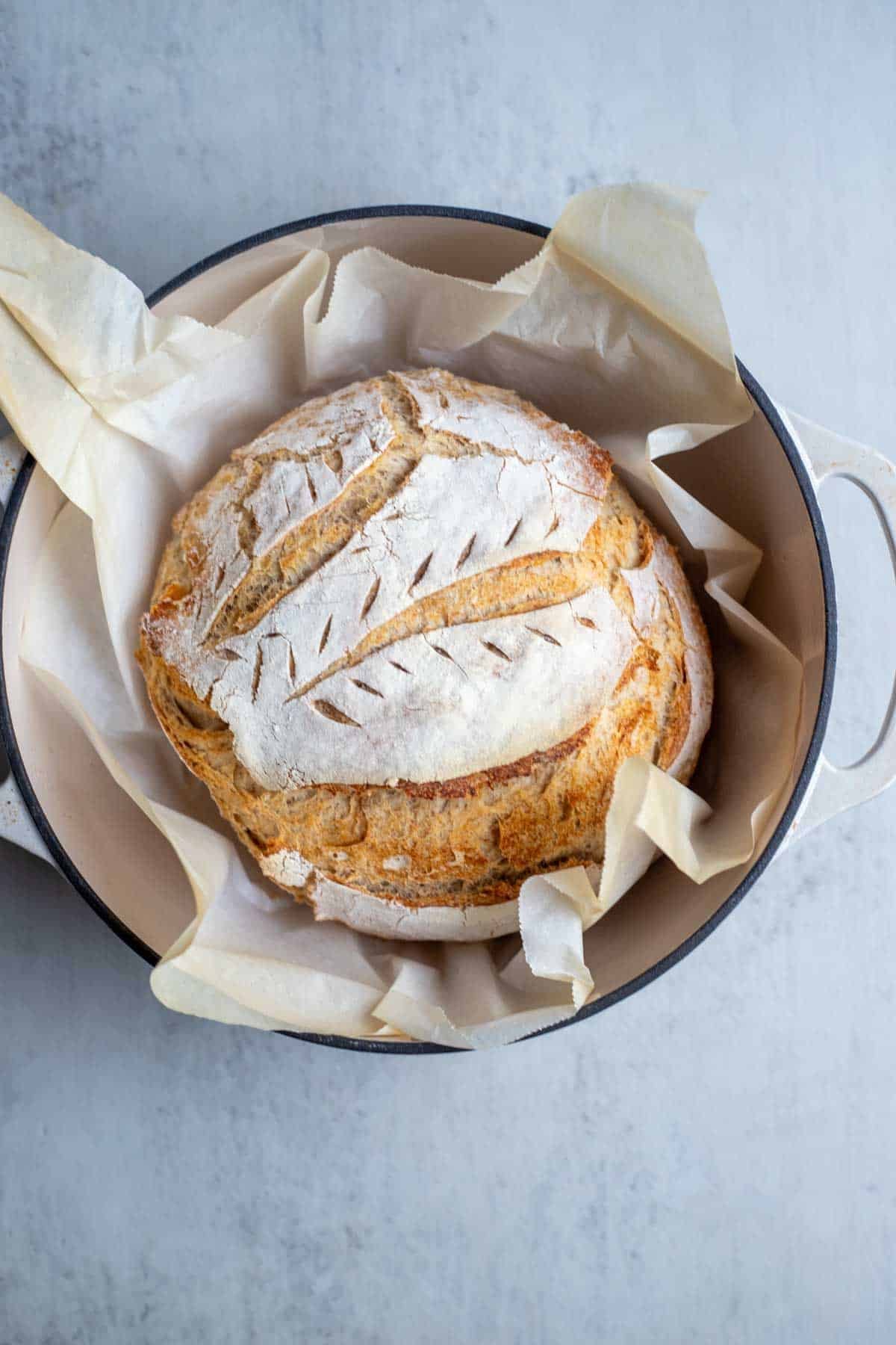 Freshly baked spelt sourdough bread in a Dutch oven on a piece of parchment paper.