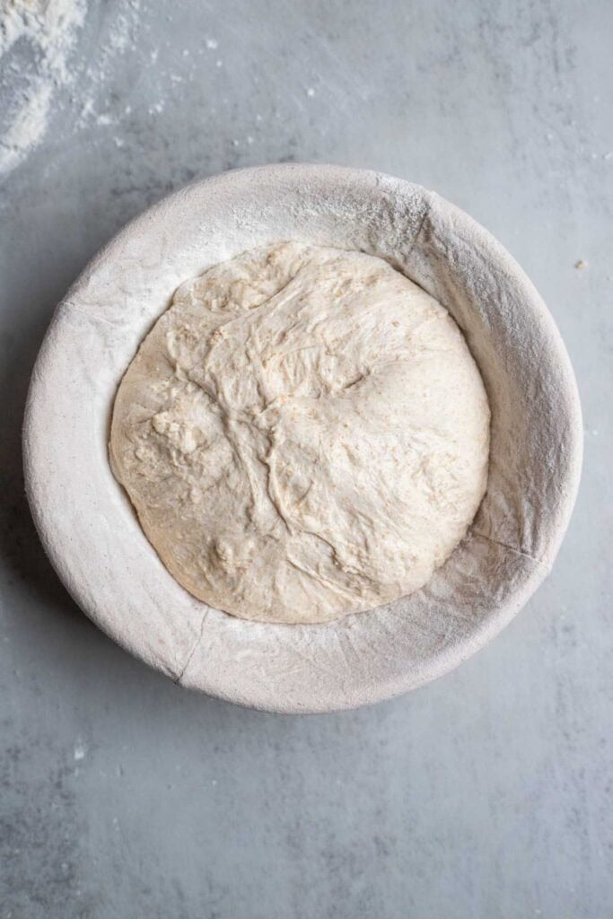 Spelt sourdough in a floured banneton basket.