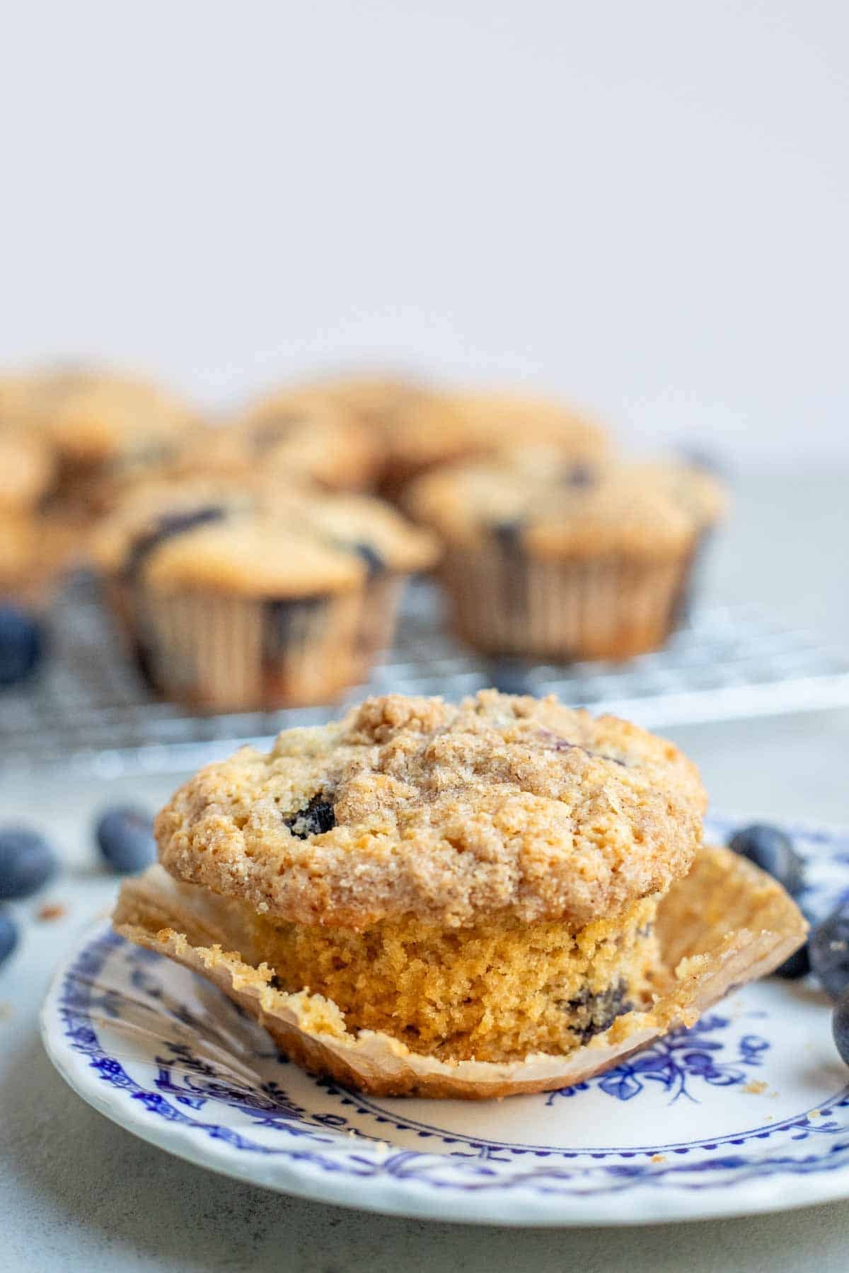 one whole wheat blueberry muffin on a blue decorative plate with a cooling wrack full of muffins in the background.