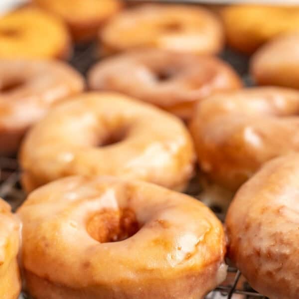 sourdough donuts in vanilla glazed lined on a metal cooling rack.