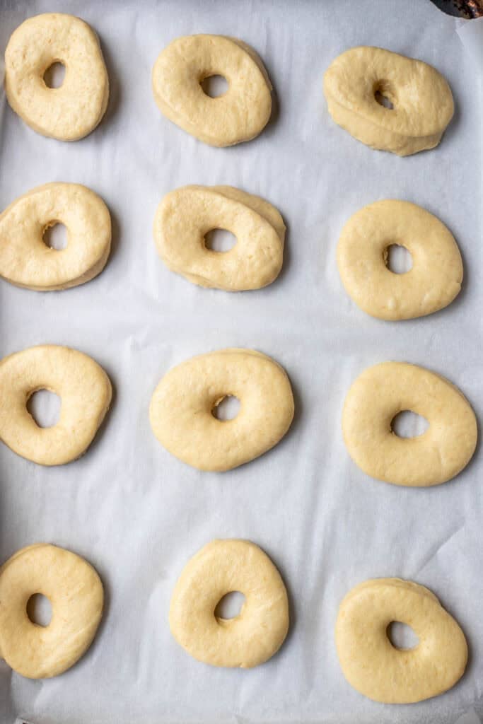Twelve unbaked donuts on a baking sheet lined with parchment paper to rise.