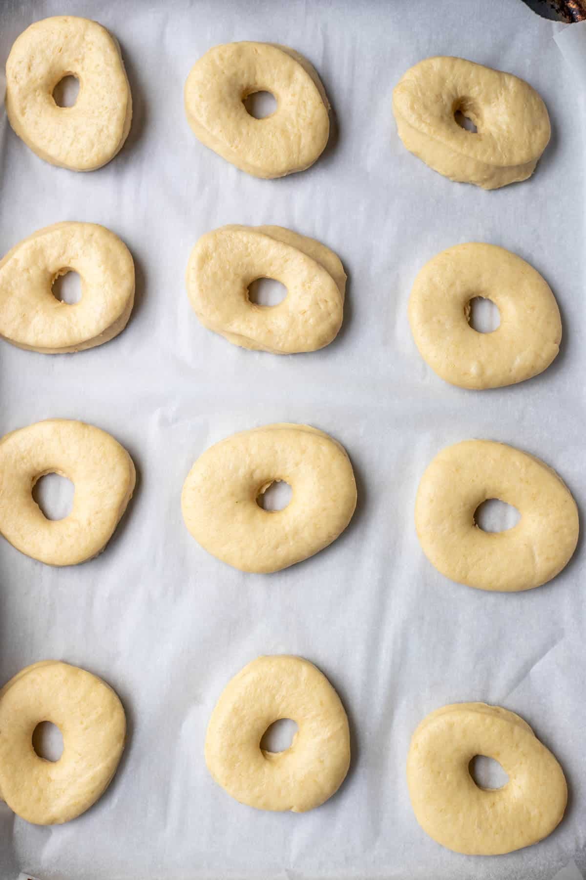 Twelve unbaked donuts on a baking sheet lined with parchment paper to rise.