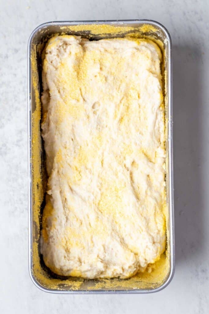 Bread dough shaped and in a loaf pan.