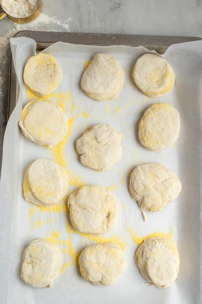 Sourdough English muffins sprinkled with corn meal and placed on a baking sheet.