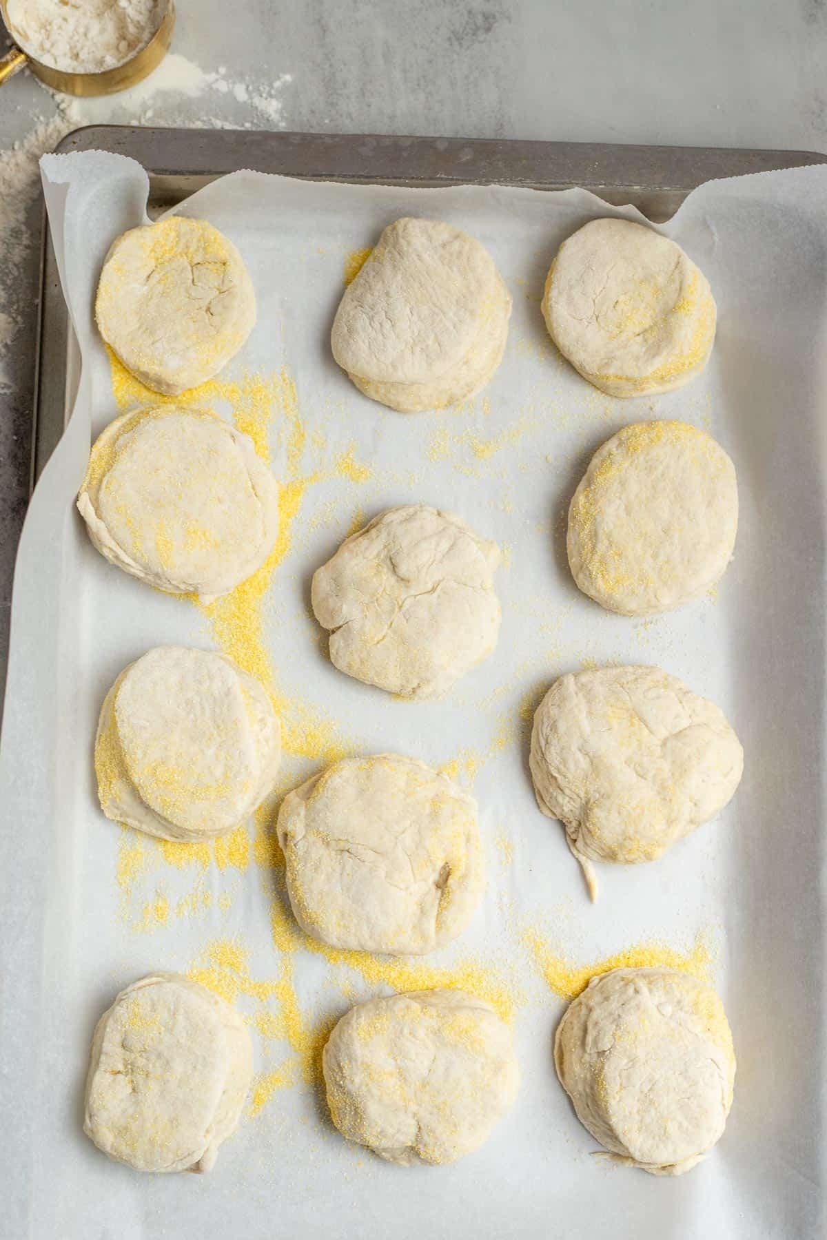 Sourdough English muffins sprinkled with corn meal and placed on a baking sheet.