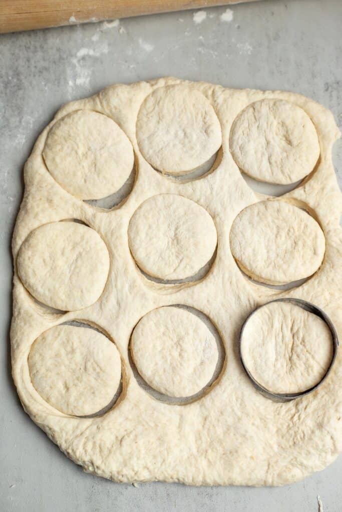 Nine English muffins cut out of sourdough on the kitchen counter.