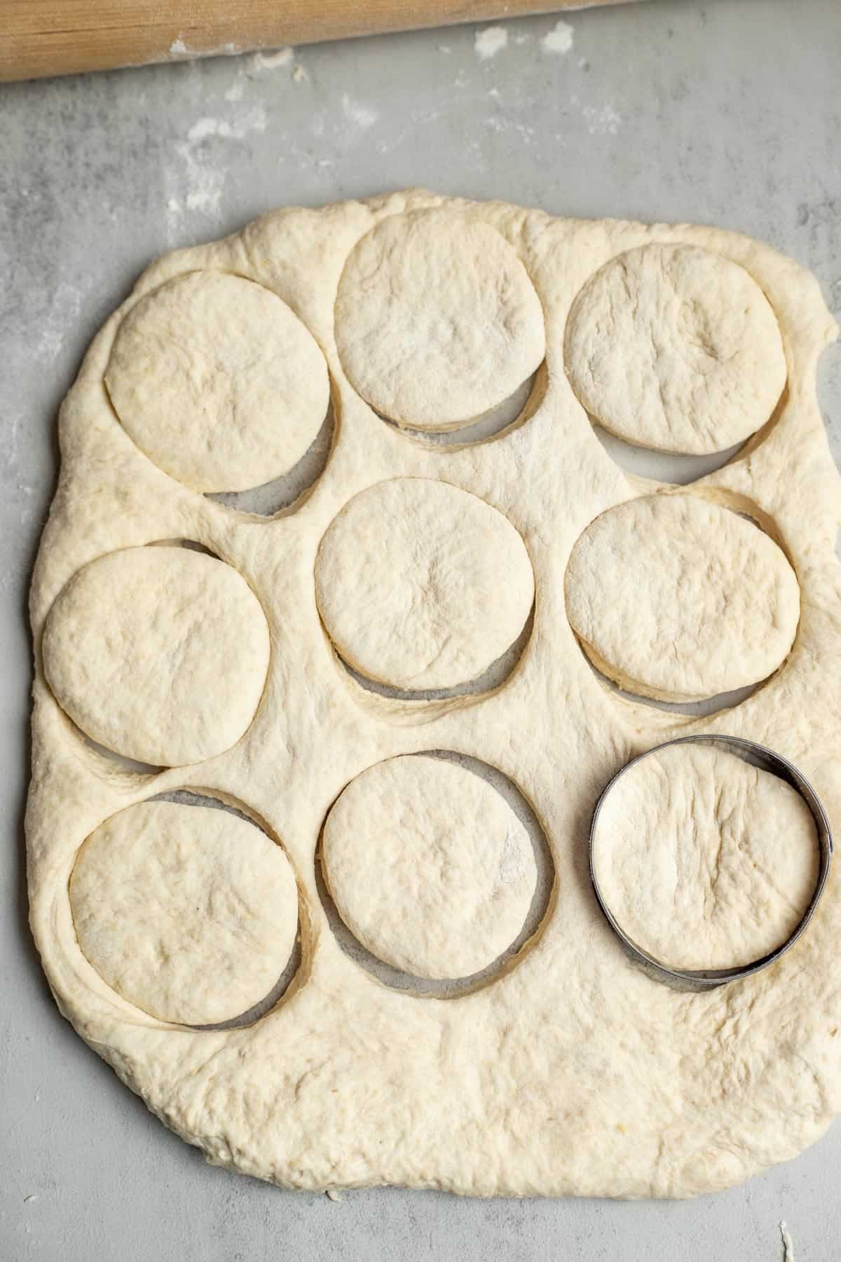 Nine English muffins cut out of sourdough on the kitchen counter.