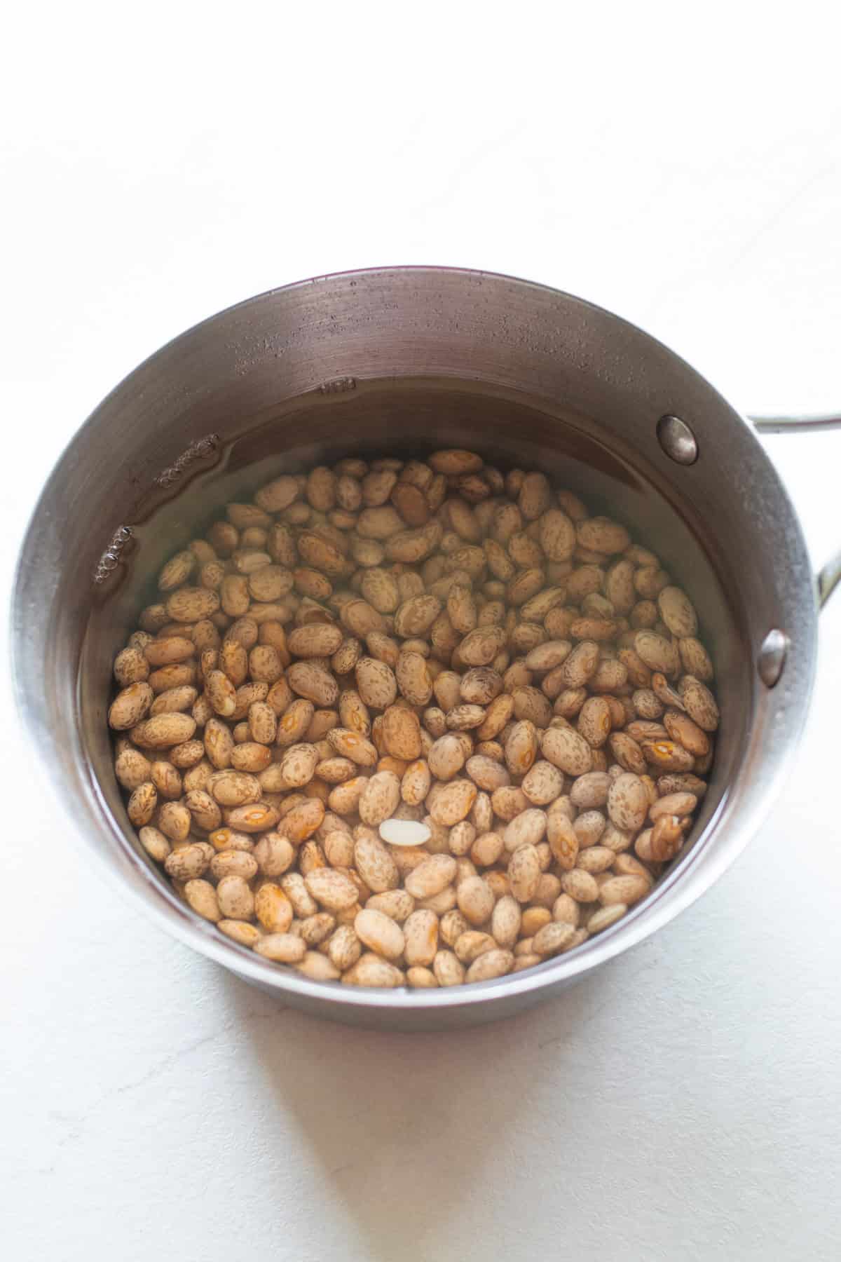 A saucepan of pinto beans and water on the counter.