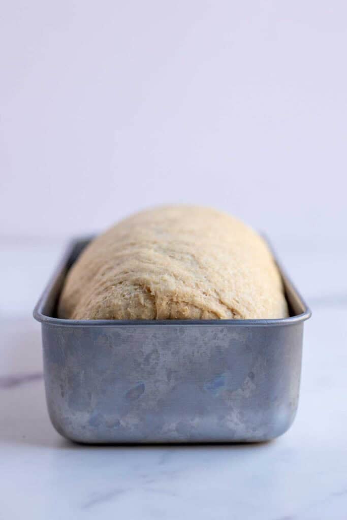Bread dough in a loaf pan ready for the oven.