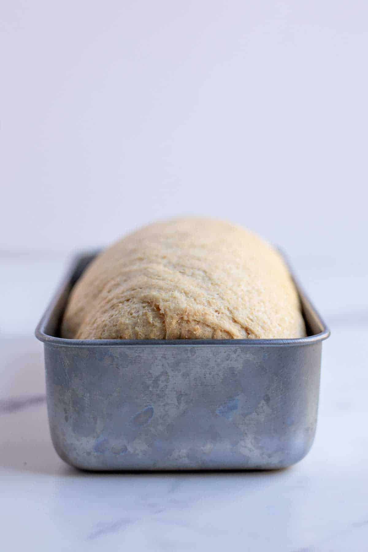 Bread dough in a loaf pan ready for the oven.