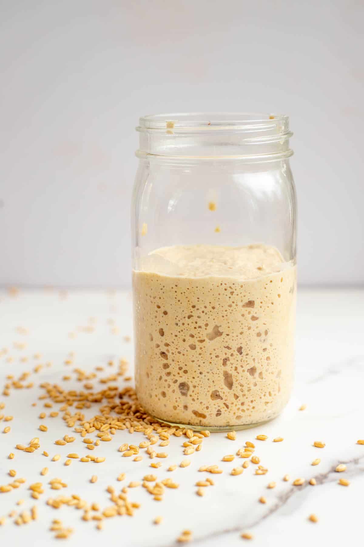 A jar of sourdough starter on a marble counter top surrounded by wheat berries.