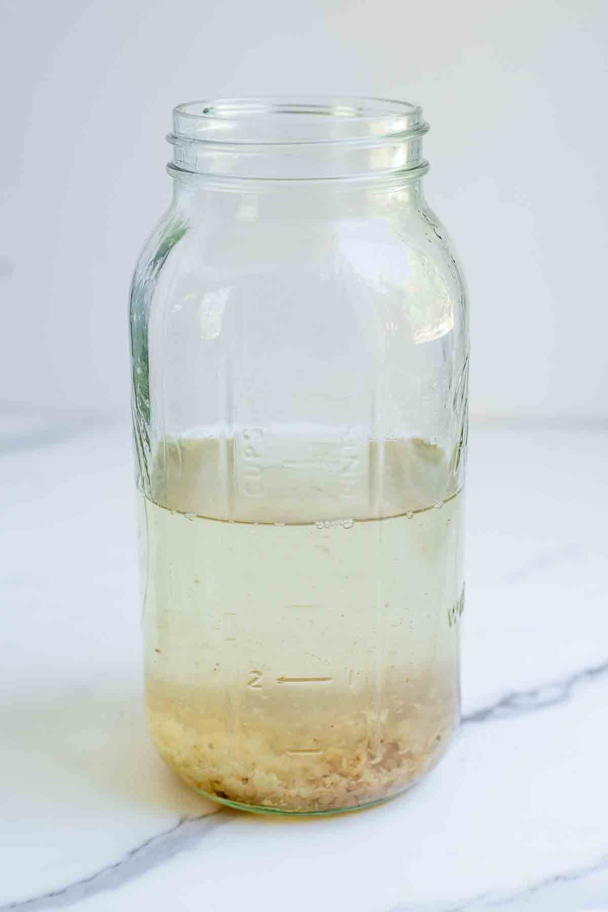 Kefir grains in the bottom of a half gallon mason jar filled with sugar and water.