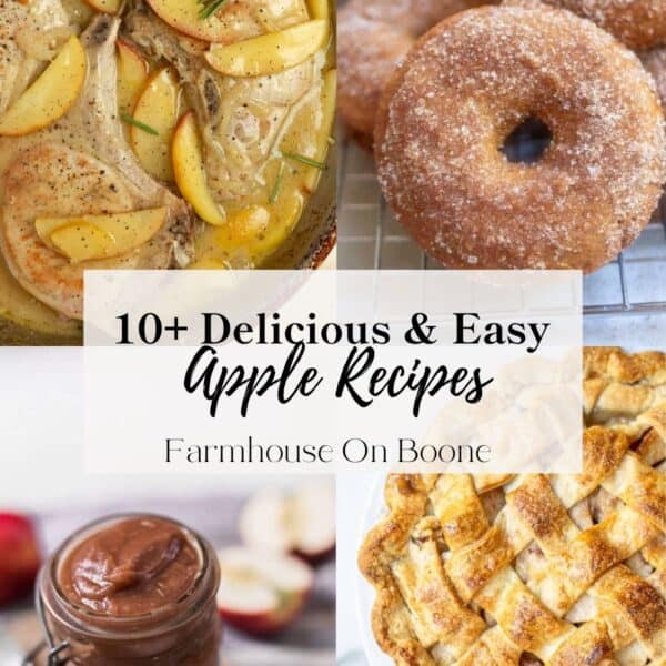 Four images of apple recipes including a pork chop skillet, apple cider donuts, apple butter, and apple pie.