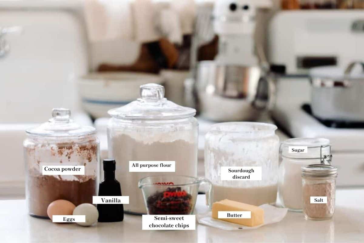 Ingredients for sourdough discard brownies on the countertop.