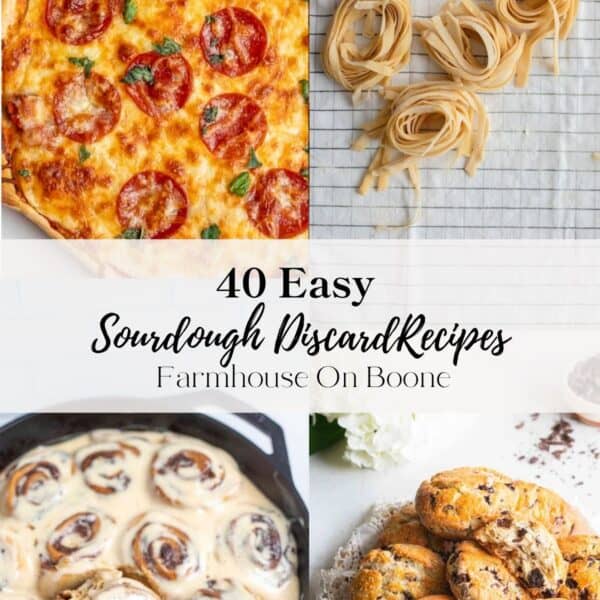 Four dishes that use sourdough discard including pizza, pasta, cinnamon rolls, and scones.