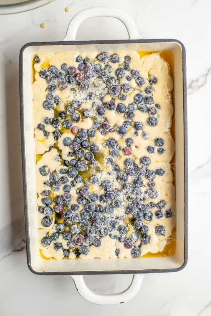 Blueberries evenly spread over a cobbler batter in a 9 by 13 inch pan.