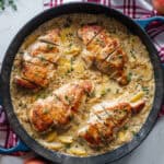 A skillet with four chicken breasts in a cream sauce on a counter top with peaches surrounding it.